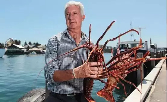 传说澳大利亚有这样一个小镇，一网下海全是大龙虾！海边鲍鱼到处都是！ - 9