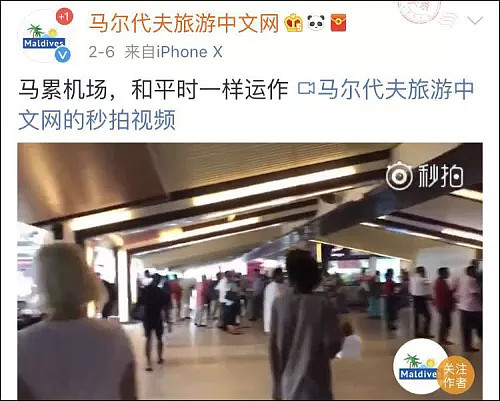 悲剧！中国游客自拍摔下火车致重伤，奄奄一息！使馆多方规劝，可他们就是不听，酿成了这无数悲剧…… - 22