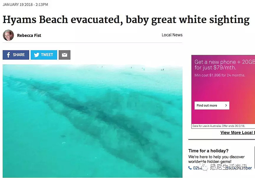 危险！澳洲海岸惊现大规模噬人鲨群！5500头正爆发性繁殖！海洋终极食人魔来了！ - 4