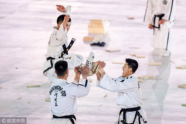 平昌冬奥开幕式表演 青龙白虎震撼开场（组图/视频） - 11