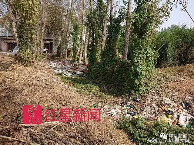 捡了8年垃圾的女硕士：从海外回农村捡垃圾，认识北京一半收破烂的