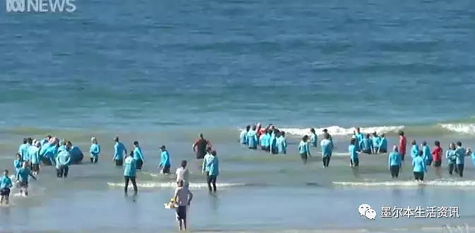 澳洲平静的海边，忽然来了一群奇怪的蓝衣人，一言不合就把人疯狂往海里推！ - 1