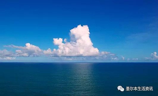 澳洲平静的海边，忽然来了一群奇怪的蓝衣人，一言不合就把人疯狂往海里推！ - 6