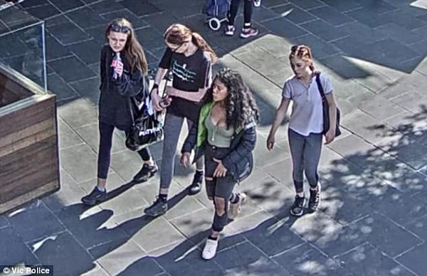 491CD12A00000578-5379063-The_group_of_teenage_girls_pictured_were_caught_on_shopping_cent-a-18_1518390759055.jpg,0