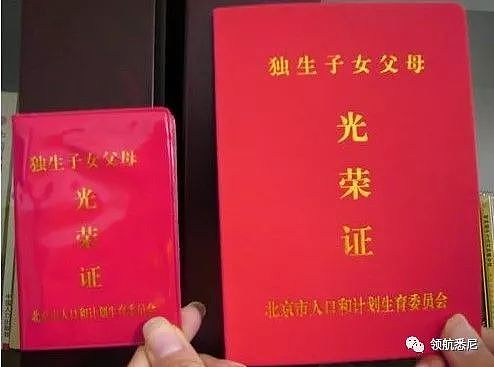 中国单亲妈妈哭诉：我辛苦带大女儿，但她去了澳洲后却变了...我有点后悔！ - 13