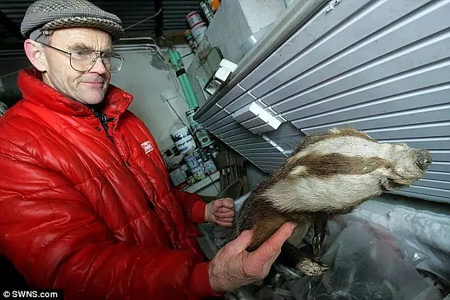 澳生猛老大爷一生专注于拣路边撞死的动物60多年，堪称野味专家！但背后原因又不仅于吃...... - 3