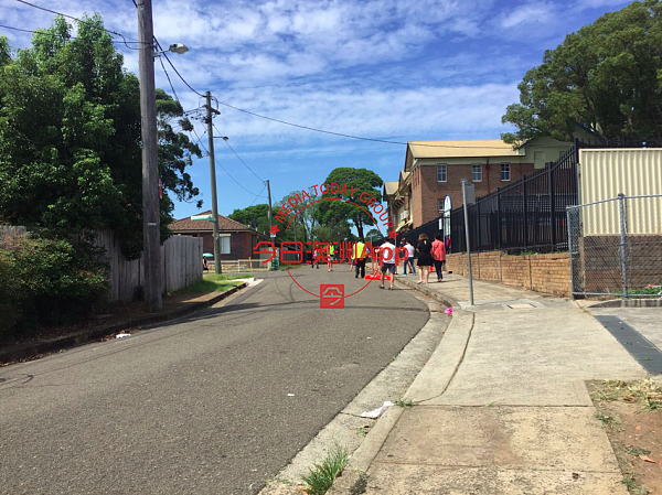 恐怖！致命毒蛇一度闯入Hurstville小学！捕蛇人紧急出动，持续两周的人蛇大战最终这样收场（图） - 3