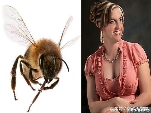 一只蜜蜂竟让一名男人从此变成了一个女人！真相让人无语