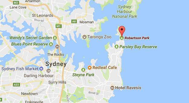必须收藏！悉尼那些免费又好玩的公园，颜值完胜迪斯尼！这就是为什么我不愿离开悉尼！（组图） - 30