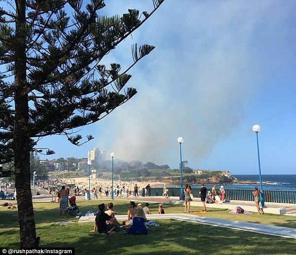 悉尼Coogee海滩附近爆发山火！浓烟直冲天际 当地居民惊呼：如同爆炸现场（组图） - 3