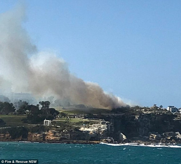 悉尼Coogee海滩附近爆发山火！浓烟直冲天际 当地居民惊呼：如同爆炸现场（组图） - 2