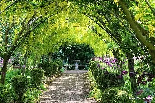 悉尼竟藏着5个美得像梦一样的秘密花园！100多年历史，免费开放却鲜为人知！（组图） - 7