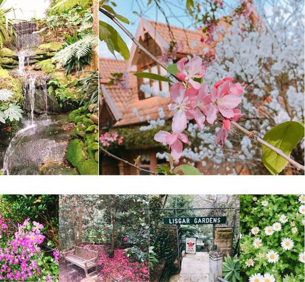 悉尼竟藏着5个美得像梦一样的秘密花园！100多年历史，免费开放却鲜为人知！（组图） - 11