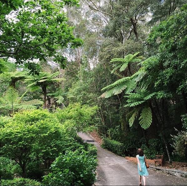 悉尼竟藏着5个美得像梦一样的秘密花园！100多年历史，免费开放却鲜为人知！（组图） - 37