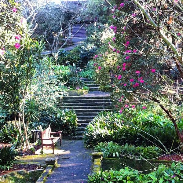 悉尼竟藏着5个美得像梦一样的秘密花园！100多年历史，免费开放却鲜为人知！（组图） - 38