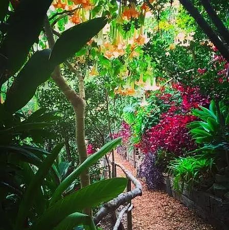 悉尼竟藏着5个美得像梦一样的秘密花园！100多年历史，免费开放却鲜为人知！（组图） - 50