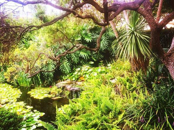 悉尼竟藏着5个美得像梦一样的秘密花园！100多年历史，免费开放却鲜为人知！（组图） - 60