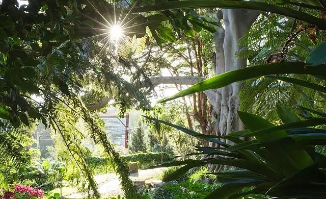 悉尼竟藏着5个美得像梦一样的秘密花园！100多年历史，免费开放却鲜为人知！（组图） - 87