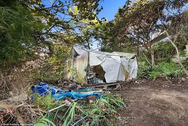 悉尼堆了70年垃圾的房子竟叫价$2500000！地产商光清出让人走的小路就花了$30000！ - 9