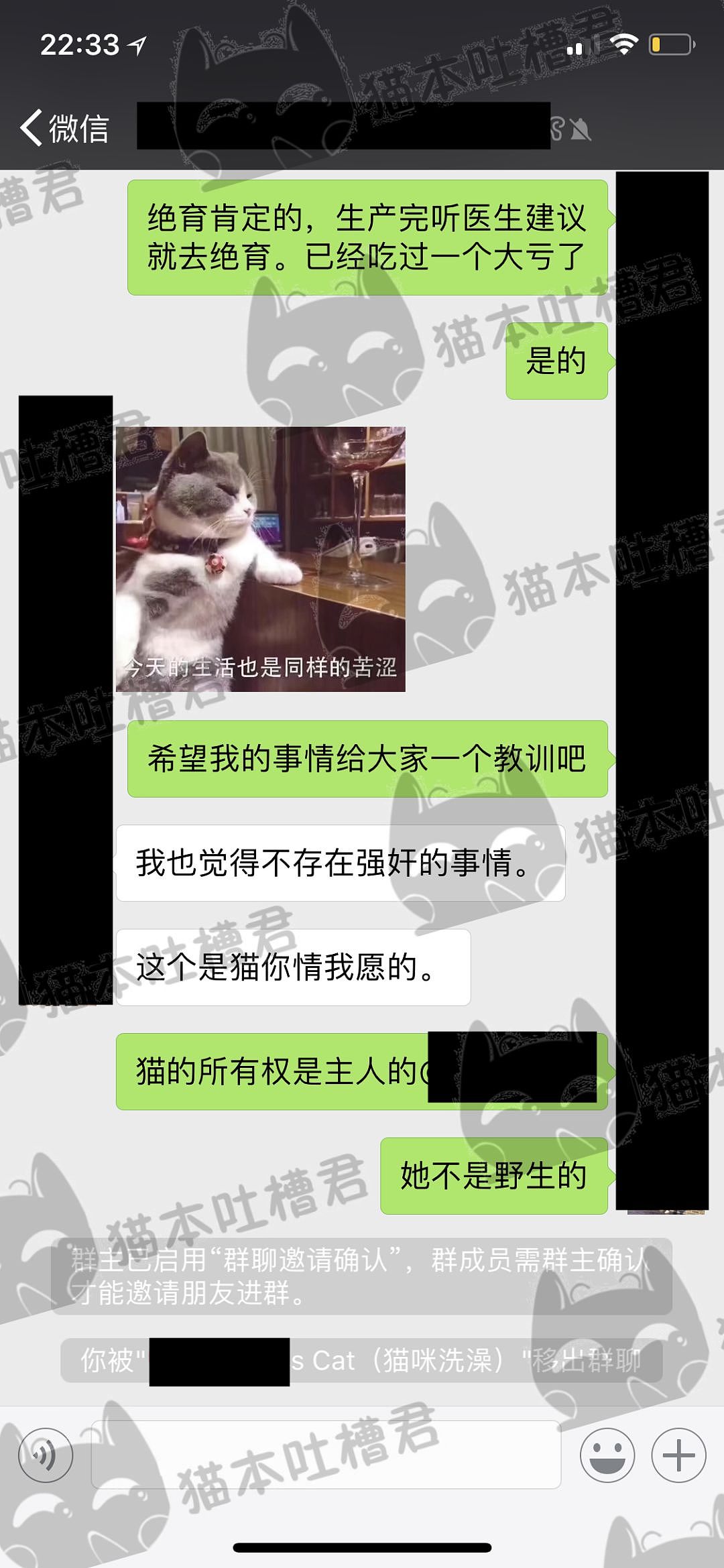 曝光！澳洲华女怒斥黑心商家，花了$1000寄养爱猫，最后竟是这种悲惨结局！（组图） - 10