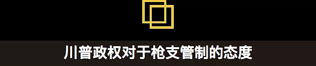 华裔少年上学带枪被抓，家中搜出大量枪支，面临多项指控，美政府控枪无能，何时还校园宁静安全？ - 11