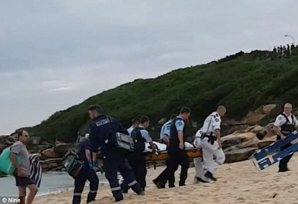 血腥慎点！悉尼女子遭大白鲨袭击 腿部被咬到血肉模糊 多地海滩紧急关闭（组图） - 5