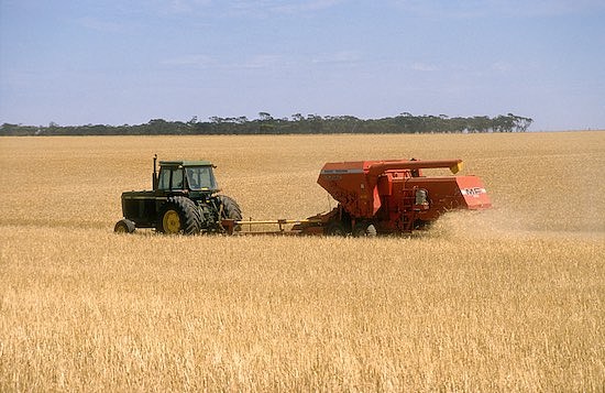 CSIRO_ScienceImage_4026_Harvesting_wheat_near_Blyth_in_the_mid_north_of_South_Australia_1986-copy.jpg,0