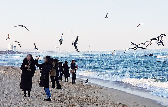 江陵市的一处海边，三三两两的游客在寒风中拍照