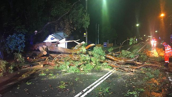 注意！这几条华人区道路被堵死！悉尼多地遭严重暴雨侵袭 洪水+断电+房屋受损 - 1