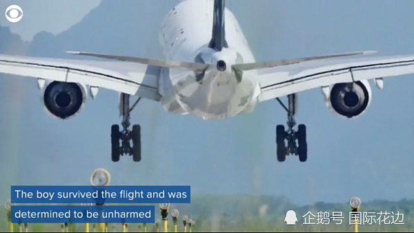 两名男子欲“扒飞机”偷渡美国，结果飞机刚起飞就被摔死 - 5