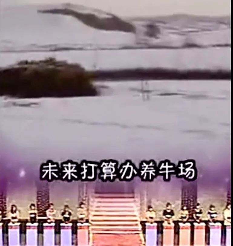 东北版《非诚勿扰》：嫁给我，这3000只母鸡都是你的了 - 22