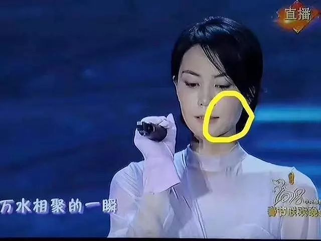 王菲真是不老女神？央视镜头果然是照妖镜，她终于露馅了 - 4