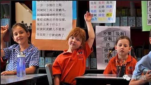 华人新移民心声：孩子在澳洲上小学，一开始我是失望的…… - 2