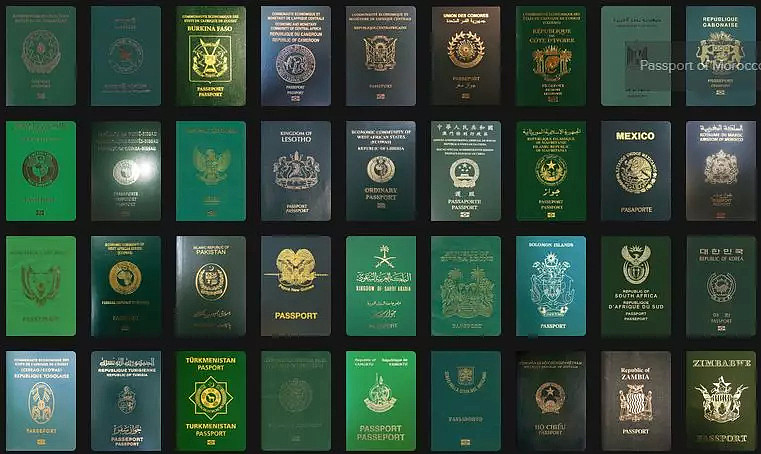史无前例！2个亚洲国家同时登顶护照实力榜，澳洲超越新西兰！据说这个颜色的护照最强大... - 8