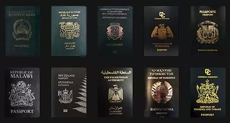 史无前例！2个亚洲国家同时登顶护照实力榜，澳洲超越新西兰！据说这个颜色的护照最强大... - 9