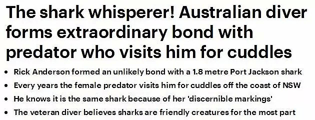 没想到澳洲小哥在海里的一个小小的举动，竟然让一头鲨鱼赖上了他，还整整赖了他7年！ - 4