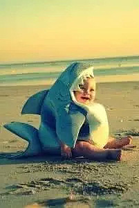 没想到澳洲小哥在海里的一个小小的举动，竟然让一头鲨鱼赖上了他，还整整赖了他7年！ - 5