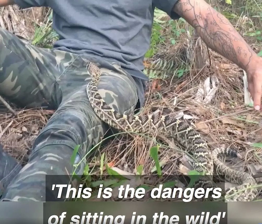 死神在侧！澳洲小哥遭遇剧毒响尾蛇！一动不敢动，视频一点开就吓出一身冷汗。。。 - 34