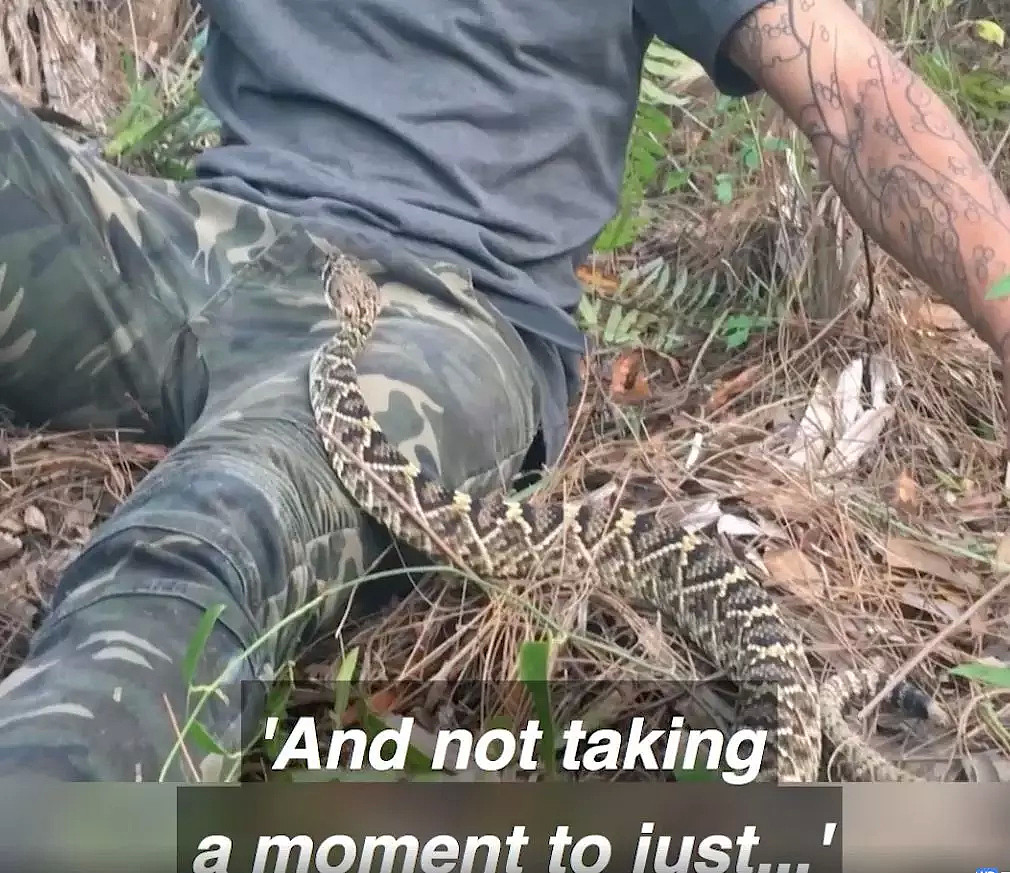 死神在侧！澳洲小哥遭遇剧毒响尾蛇！一动不敢动，视频一点开就吓出一身冷汗。。。 - 35