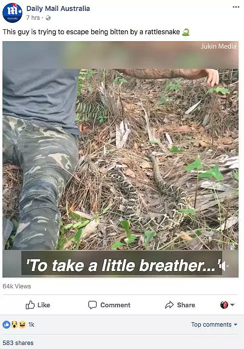死神在侧！澳洲小哥遭遇剧毒响尾蛇！一动不敢动，视频一点开就吓出一身冷汗。。。 - 40