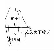 上、下胸围的测量方法