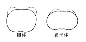 中国女人的胸，到底为什么这么小