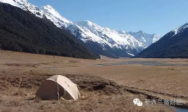 我的天呐！新西兰旅游局史上最大一单要来了！安利万人团下月来扫荡！ - 12