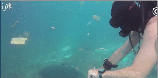 别去巴厘岛了，太恶心了！在巴厘岛潜水你可能被垃圾包围！ - 4