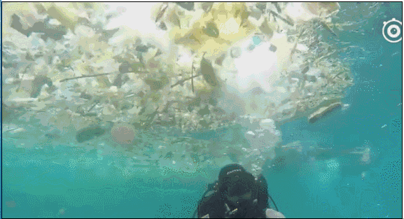 别去巴厘岛了，太恶心了！在巴厘岛潜水你可能被垃圾包围！ - 5