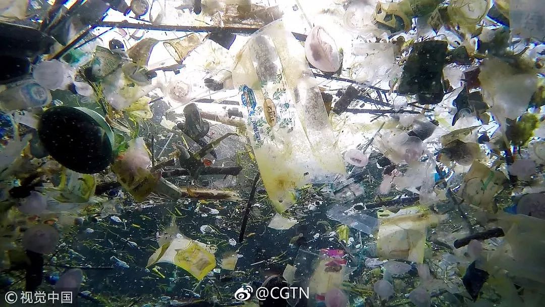 别去巴厘岛了，太恶心了！在巴厘岛潜水你可能被垃圾包围！ - 6