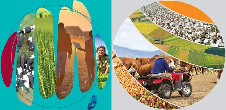 ABARES农业展望报告出炉 羊毛水果领涨前景可期 - 1