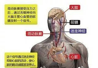 情侣们小心！澳洲小鲜肉与女友惨死！情到浓时别再做这件事！可能引发脑梗、瘫痪、死亡… - 8