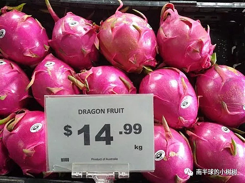 澳洲这些奇怪的水果，不仅美容抗癌，竟还有这么多种吃法？太神奇了... - 24