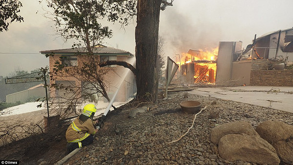 70幢房屋被烧毁！新州南部山火彻底失控 滨海小镇已成“人间地狱”（组图/视频） - 2